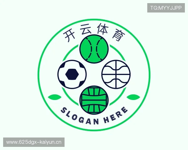 关于开云体育app下载
